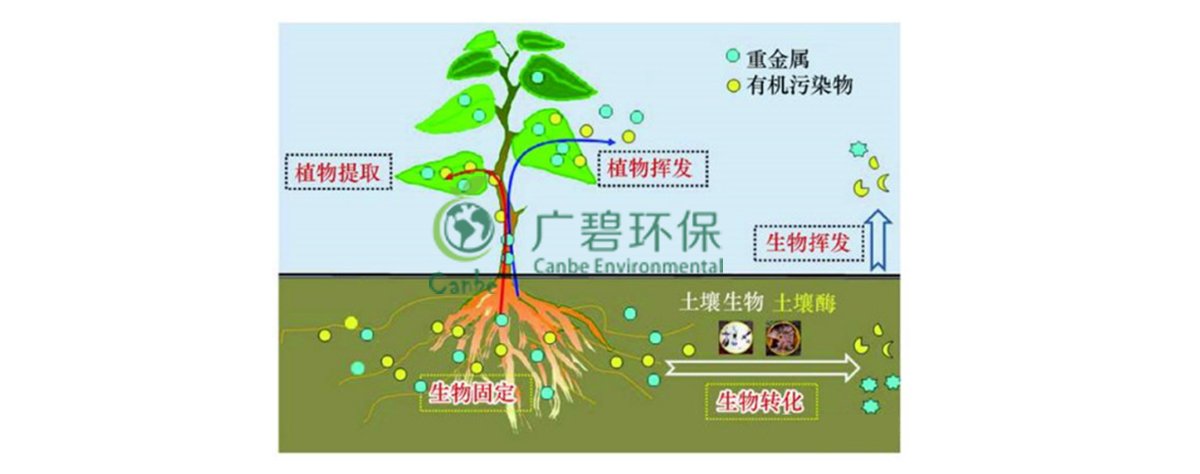 土壤污染防治基礎知識(圖3)